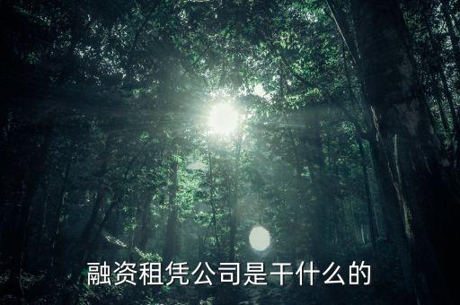 融資租憑公司是干什么的