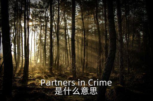 人工角膜是什么，Partners in Crime是什么意思