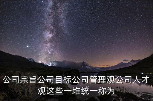 公司宗旨公司目標公司管理觀公司人才觀這些一堆統(tǒng)一稱為