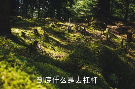 什么是去杠桿去產(chǎn)能，到底什么是去杠桿