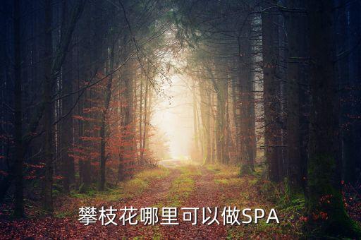 雅化集團(tuán)攀枝花恒泰做什么的，攀枝花哪里可以做SPA