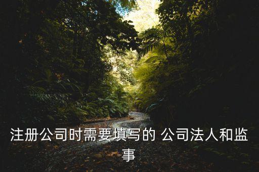 注冊(cè)公司時(shí)需要填寫(xiě)的 公司法人和監(jiān)事