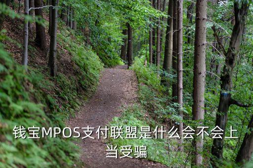 恒寶mpos是什么，錢寶MPOS支付聯(lián)盟是什么會不會上當受騙