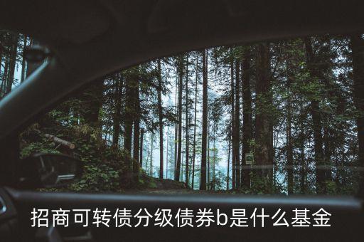 招商可轉(zhuǎn)債分級債券b是什么基金