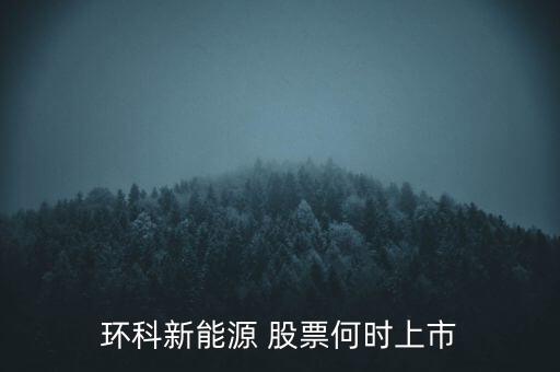 新能源股票什么時候上市呢，環(huán)科新能源 股票何時上市