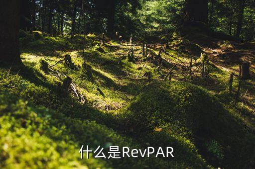 什么是RevPAR