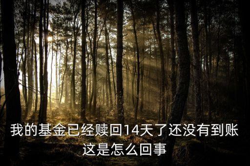 我的基金已經(jīng)贖回14天了還沒(méi)有到賬這是怎么回事