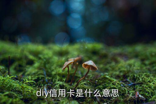 diy信用卡是什么意思，D1y信用卡是什么意思