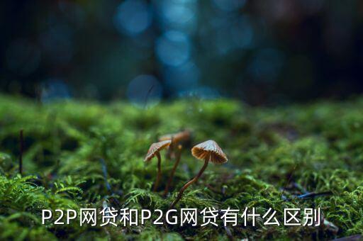 p2g與ppp有什么區(qū)別，P2G是什么意思