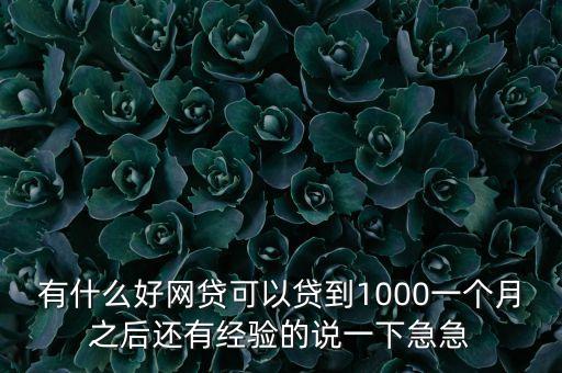 有什么好網(wǎng)貸可以貸到1000一個(gè)月之后還有經(jīng)驗(yàn)的說(shuō)一下急急