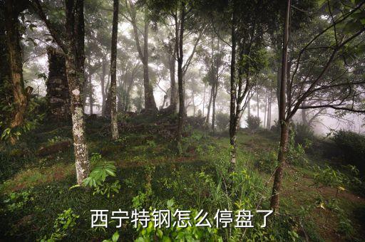 西寧特鋼為什么停牌，西寧特鋼怎么停盤(pán)了