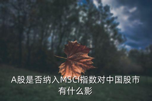 加入明晟指數(shù)有什么用，中國(guó)A股納入明晟會(huì)有什么影響