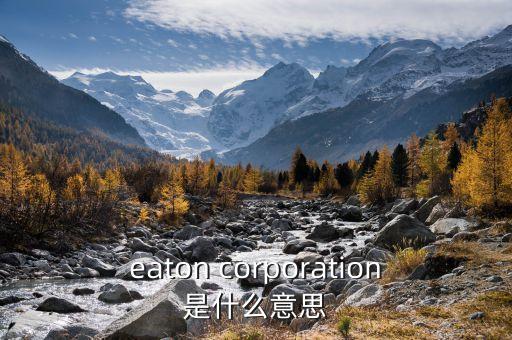 eaton corporation是什么意思