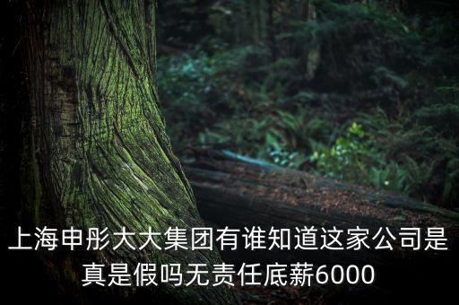 上海申彤大大集團(tuán)有誰知道這家公司是真是假嗎無責(zé)任底薪6000