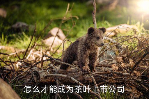 茶葉茶企為什么難上市，怎么才能成為茶葉上市公司