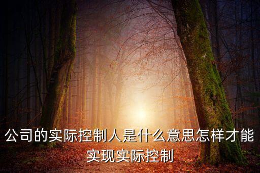 公司的實(shí)際控制人是什么意思怎樣才能實(shí)現(xiàn)實(shí)際控制