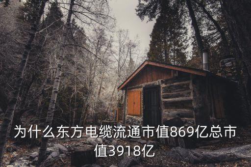 東方電纜什么時候上市，為什么東方電纜流通市值869億總市值3918億