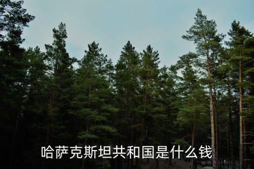 哈薩克斯坦共和國是什么錢