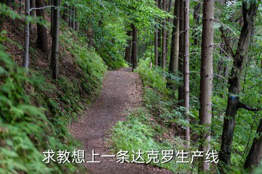 上海達克羅涂復(fù)工業(yè)有限公司做什么的，求教想上一條達克羅生產(chǎn)線