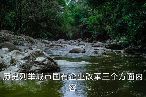 地方國(guó)企改革什么，國(guó)企改革到底要改什么東西啊簡(jiǎn)單點(diǎn)的回答就好