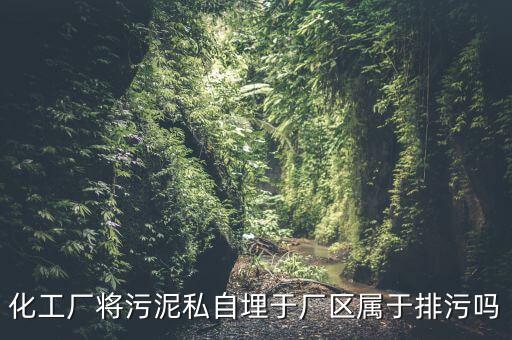 化工廠將污泥私自埋于廠區(qū)屬于排污嗎