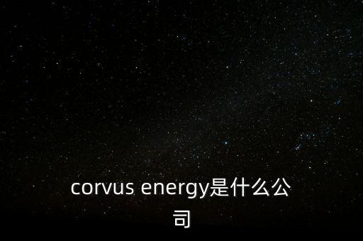 智慧松德是什么公司，corvus energy是什么公司