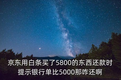 京東用白條買了5800的東西還款時提示銀行單比5000那咋還啊