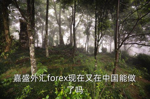 嘉盛外匯forex現(xiàn)在又在中國能做了嗎