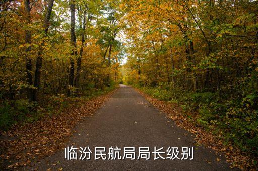 臨汾民航局局長(zhǎng)級(jí)別