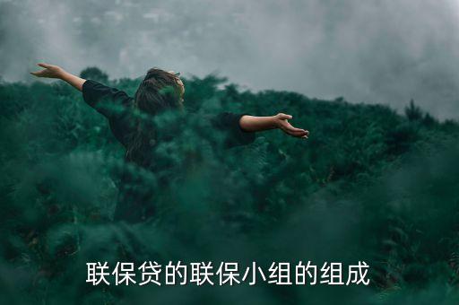 貸款中小組聯(lián)保特征是什么，聯(lián)保貸的聯(lián)保小組的組成