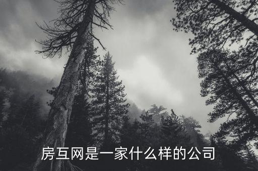 陽(yáng)江龍貸是一間什么公司，另外還有一個(gè)騙了6千多是一間詐騙公司來(lái)的