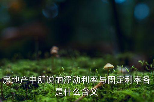 房地產(chǎn)中所說的浮動(dòng)利率與固定利率各是什么含義