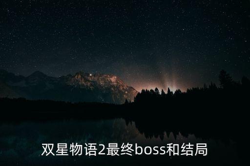 雙星汪海干什么去了，雙星 董事長(zhǎng)