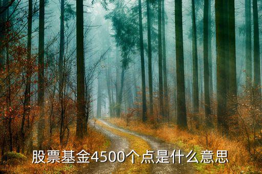 股票4500點是什么意思，4500點以下不減持是什么意思