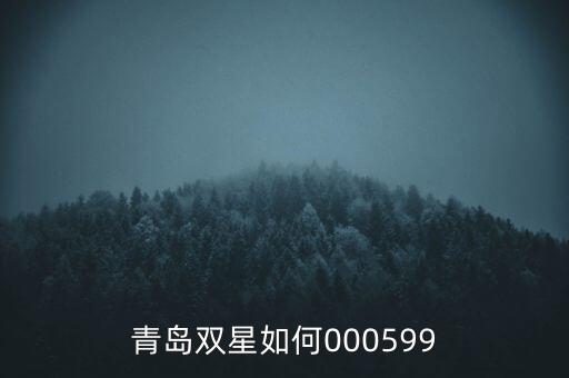 000599青島雙星集團是什么感受，青島雙星如何000599