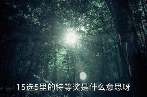 15選5里的特等獎(jiǎng)是什么意思呀