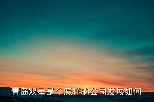 青島雙星是個(gè)怎樣的公司發(fā)展如何