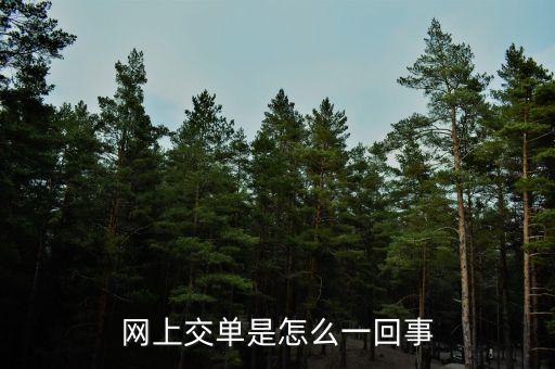 什么叫電子交單，網(wǎng)上交單是怎么一回事