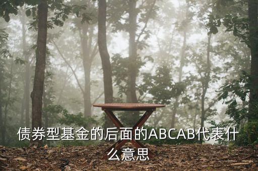 債券型基金的后面的ABCAB代表什么意思