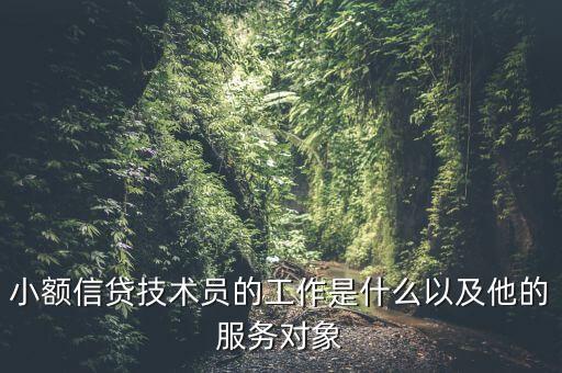 小額信貸技術(shù)員的工作是什么以及他的服務(wù)對(duì)象