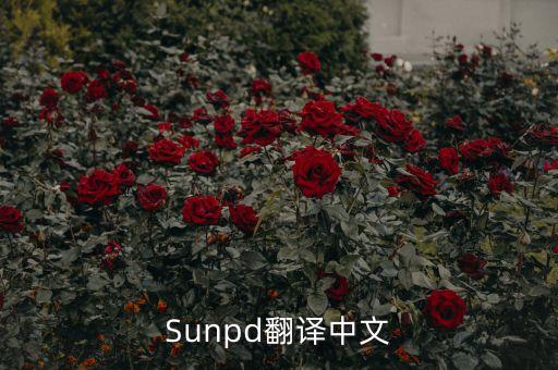 sun同上什么意思，Sunpd翻譯中文