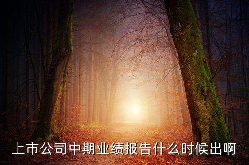 中報業(yè)績最晚什么時間公布，規(guī)定股票中報什么時候出