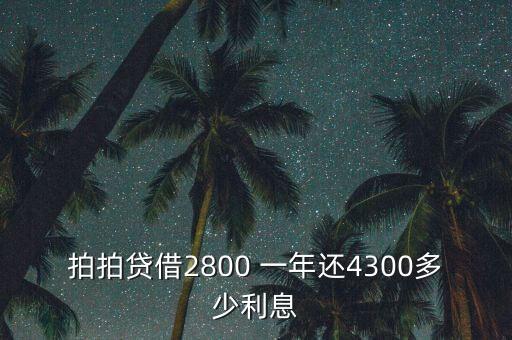 什么是拍拍貸，拍拍貸借2800 一年還4300多少利息