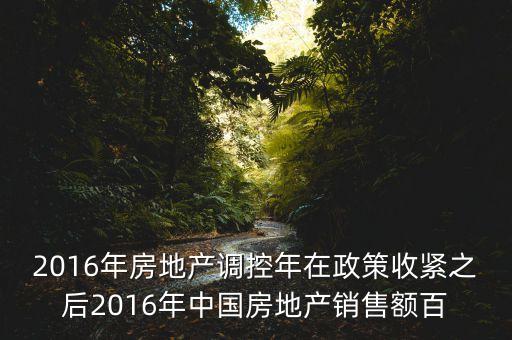 2016房市下一步還能出什么政策，2016年房地產(chǎn)調(diào)控年在政策收緊之后2016年中國(guó)房地產(chǎn)銷(xiāo)售額百