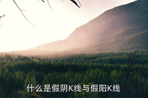 股票假陰線什么意思，假陰線說明什么