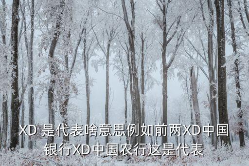 農(nóng)行中證代表什么，XD 是代表啥意思例如前兩XD中國(guó)銀行XD中國(guó)農(nóng)行這是代表