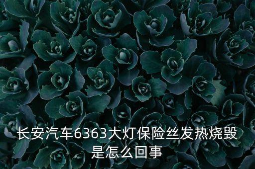 車的大燈保險絲為什么過熱，長安汽車6363大燈保險絲發(fā)熱燒毀是怎么回事