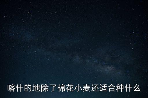 喀什的地除了棉花小麥還適合種什么