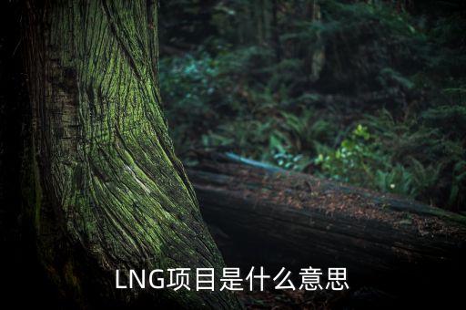 LNG項目是什么意思