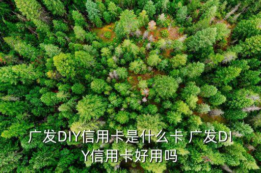 什么是diy信用卡，廣發(fā)DIY信用卡是什么卡 廣發(fā)DIY信用卡好用嗎